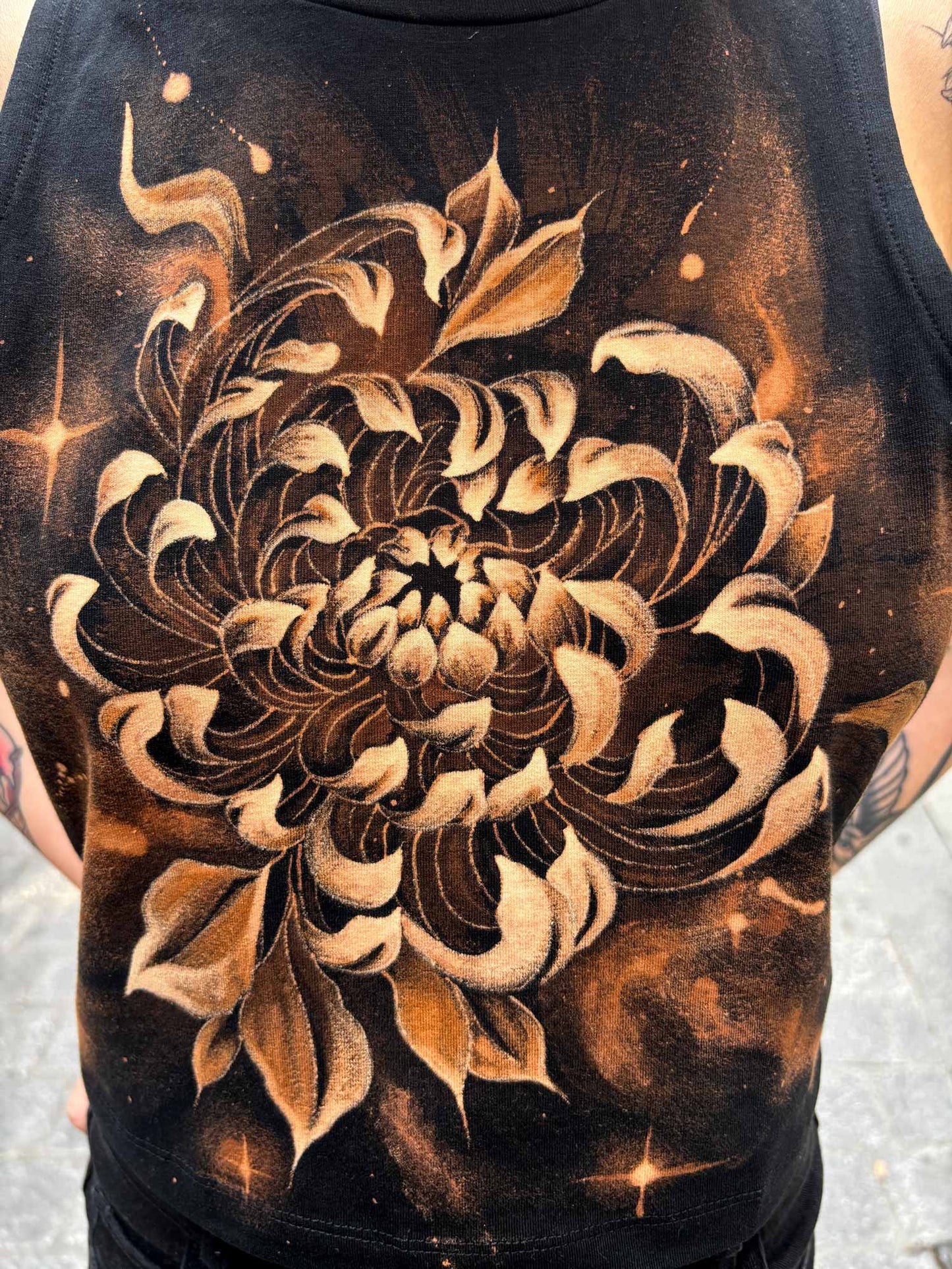 Cosmos chrysanthemum