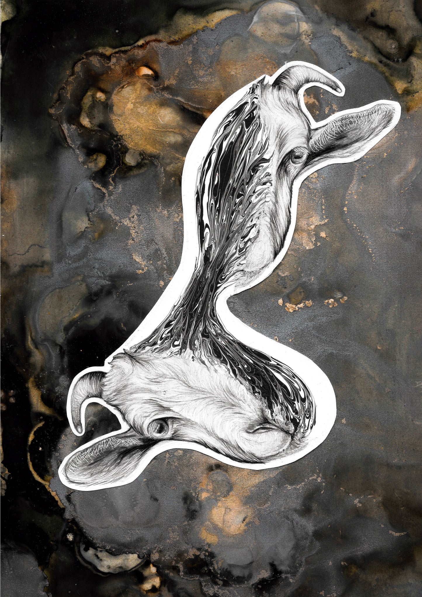 Did you know that goat is a symbol of excellence?