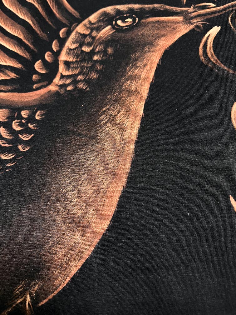 Hummingbird with Chrysanthemum