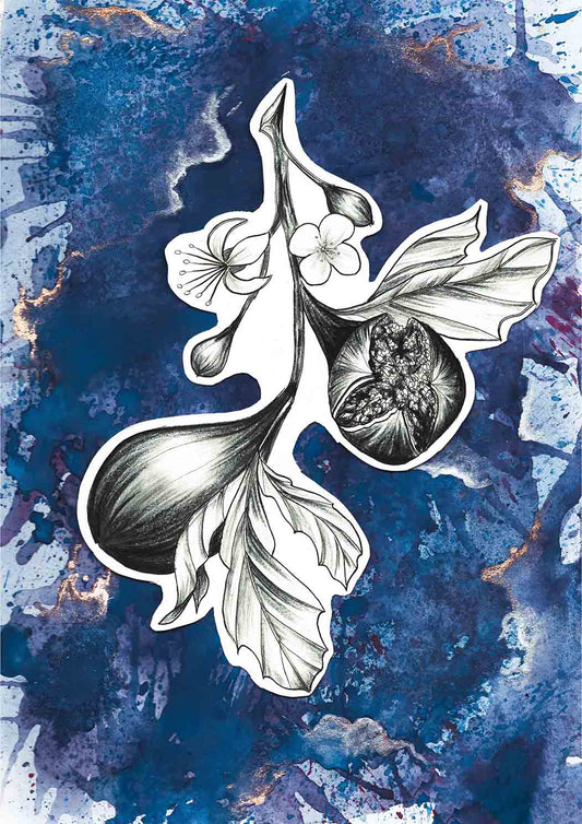 Tranquil harmony of a fig