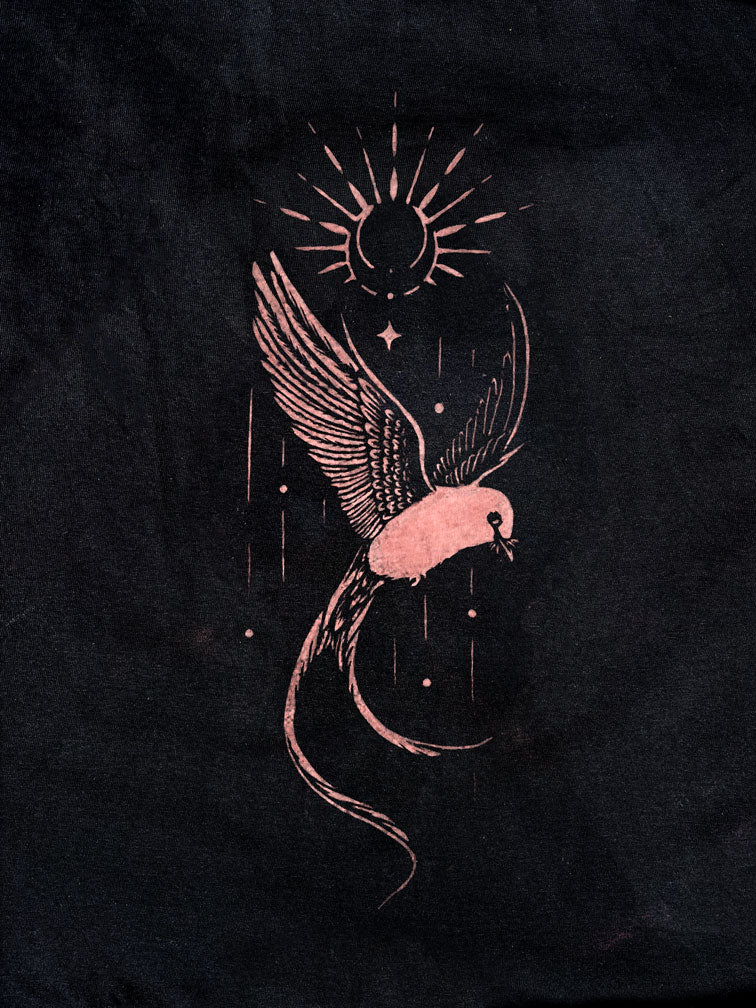 Scissor-tailed Flycatcher Stencil